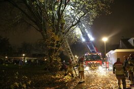 &#39;Jongen zit twee uur lang klem in boom&#39;