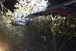 &#39;Jongen zit twee uur lang klem in boom&#39;