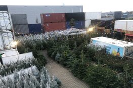 Jonge ondernemers vinden nieuw doel als "Kerstboom Meneer"