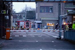 Ammoniak lekkage bij bedrijf in Zaandijk