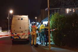 Explosieven Opruimingsdienst in Koog aan de Zaan