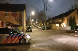 Explosieven Opruimingsdienst in Koog aan de Zaan