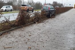 Automobiliste rijdt haar auto en heg stuk in Wormerveer