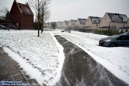 Winterse zondag in beeld