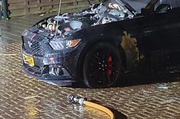 Dure Ford Mustang door brand verwoest