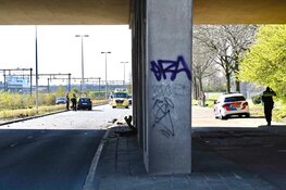 Auto tegen pilaar: bestuurder aangehouden