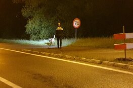 Automobilist rijdt tegen paal en vlucht in Assendelft