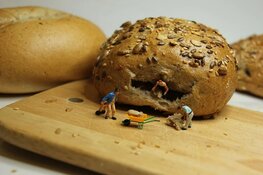 Het Zaanse Bakkertje viert 25-jarig jubileum!