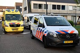Verdachte aangehouden na steekincident in Saendelft