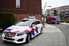 Hevige brand in schuur in Assendelft
