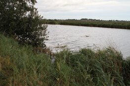 Opnieuw eenzijdig ongeval op Vaartdijk te Assendelft, nu auto te water