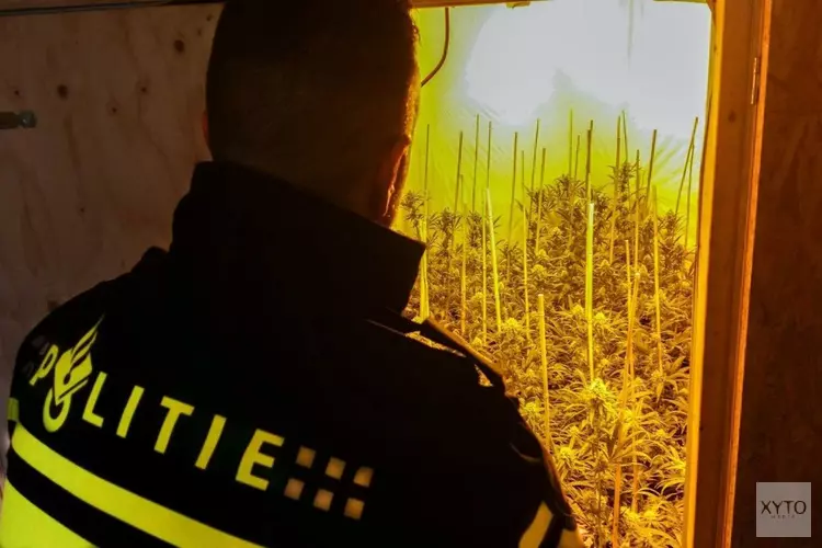 Twee hennepkwekerijen aangetroffen in woning