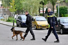 Steekincident in Zaandijk