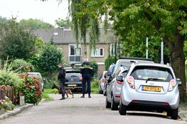 Steekincident in Zaandijk