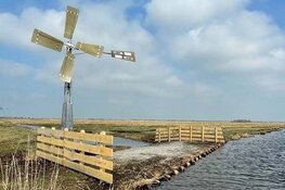 Weidemolens maken het weidevogels naar hun zin