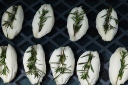 Kaasfort Amsterdam nieuwe naam kaasgroothandel Bourgondisch Lifestyle