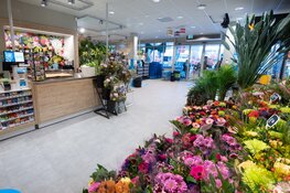 Nieuwe Albert Heijn Assendelft Dorpsstraat verrast met vers en gemak