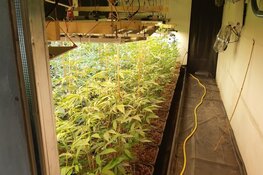 Twee aanhoudingen bij ontdekking hennepplantage