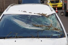 Automobiliste krijgt boom op haar dak tijdens het rijden