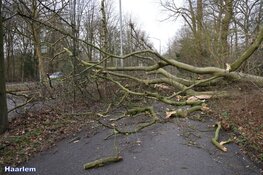Fotoalbum: Noord-Holland in de greep van storm Eunice