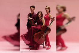 Delta Pianotrio in de Zaandamse Vermaning