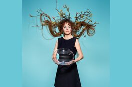 Grote namen in het Zaantheater