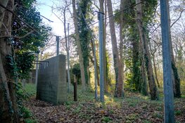 Hembrugbos: ontwerp voor vernieuwing