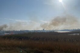 Natuurbrand in het Guisveld