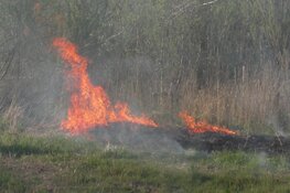 Brandweer in actie voor natuurbrand in Assendelft
