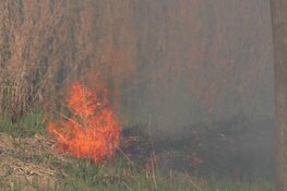 Brandweer in actie voor natuurbrand in Assendelft