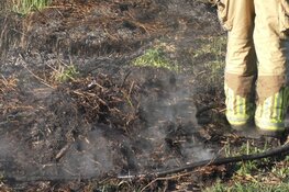 Brandweer in actie voor natuurbrand in Assendelft