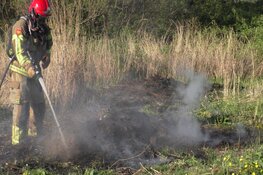 Brandweer in actie voor natuurbrand in Assendelft