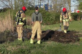 Brandweer in actie voor natuurbrand in Assendelft