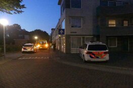 Gewonde en aanhoudingen na vechtpartij in Wormerveer