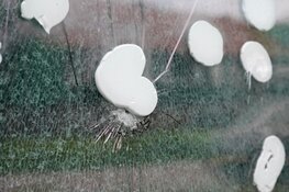 Pand beschoten in Zaandam