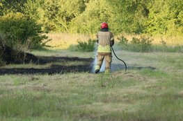 Brandend riet in Zaandam