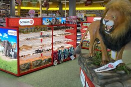 CORUM verhuurt voormalige vestiging Mediamarkt in Zaandam aan ToyChamp