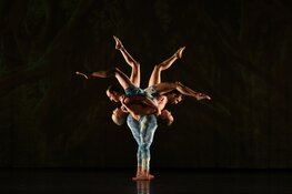 Tips voor het leukste avondje uit in het Zaantheater