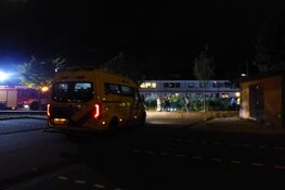 Winkeldief verstopt zich in sloot in Assendelft