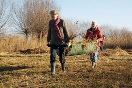 Hooien in de Buitenhuizerbraak