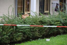 Steekpartij in Zaandam tussen minderjarigen, gewonde met spoed naar ziekenhuis