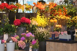 Feestelijk heropende Bloemenshop Klavertje 8 sponsort Zaans voetbaltalent Ginia Caprino