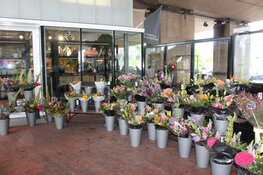 Feestelijk heropende Bloemenshop Klavertje 8 sponsort Zaans voetbaltalent Ginia Caprino