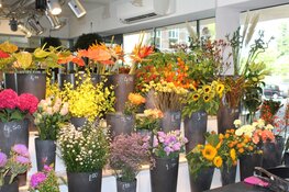 Feestelijk heropende Bloemenshop Klavertje 8 sponsort Zaans voetbaltalent Ginia Caprino