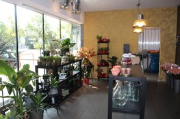 Feestelijk heropende Bloemenshop Klavertje 8 sponsort Zaans voetbaltalent Ginia Caprino