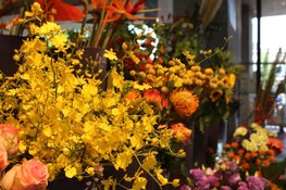 Feestelijk heropende Bloemenshop Klavertje 8 sponsort Zaans voetbaltalent Ginia Caprino