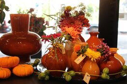 Feestelijk heropende Bloemenshop Klavertje 8 sponsort Zaans voetbaltalent Ginia Caprino