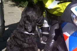 Hond verjaagt daders beroving; getuigen gezocht