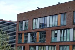 Arrestatieteam haalt onder invloed verkerende man uit woning