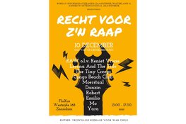 Mensenrechtenfestival Recht voor Z’n Raap in Zaandam